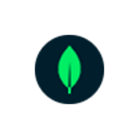 MongoDB logo