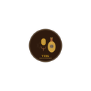 Voice to Instrument logo