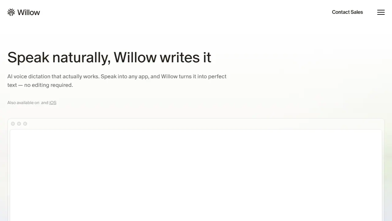 Willow Voice - zrzut strony