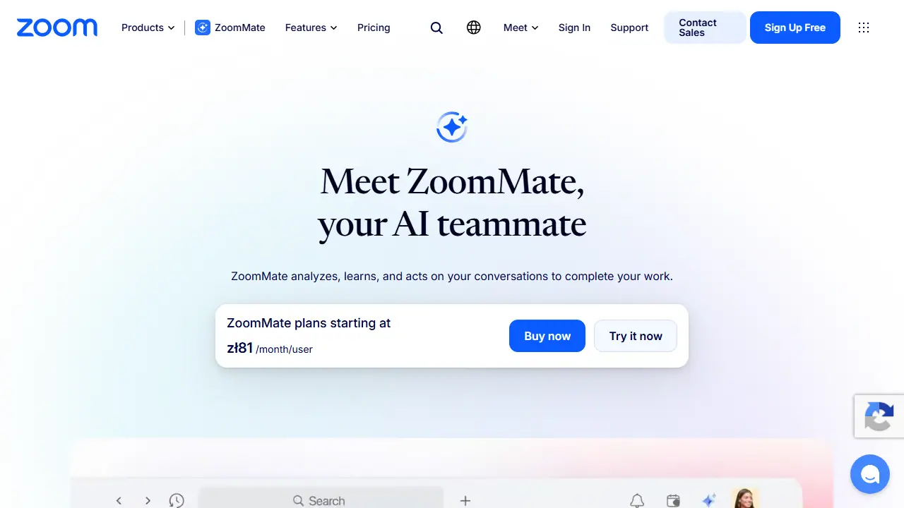 ZoomMate - zrzut strony